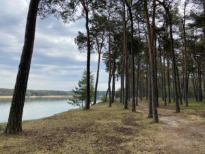 jezero lhota paddleboard borový háj