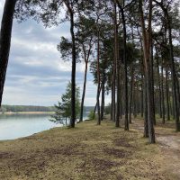 jezero lhota paddleboard borový háj